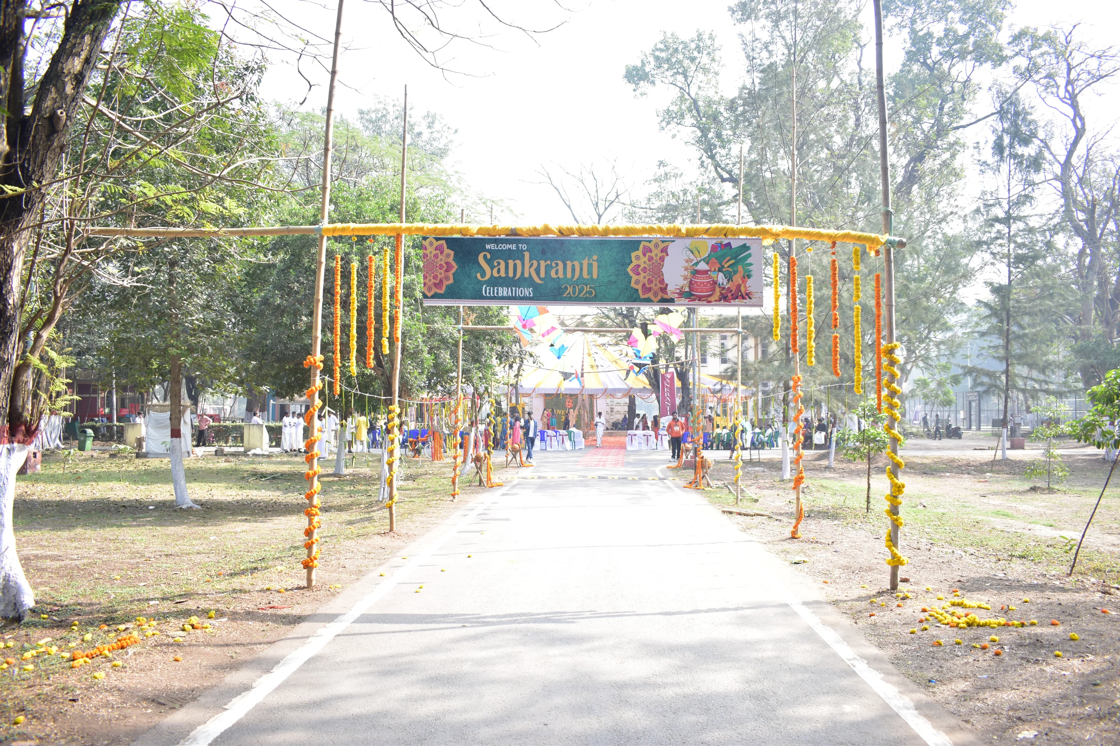 Kites filling the sunset sky